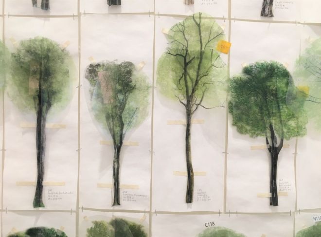 ji watergarden drzewa