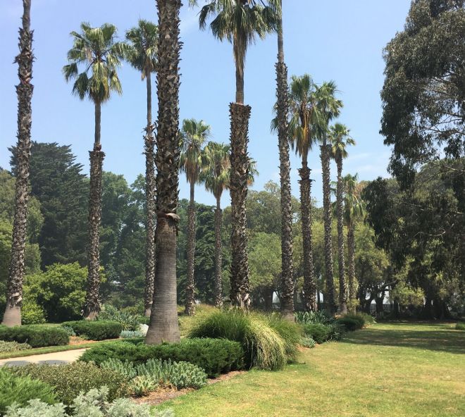 ogrod bot melbourn 1