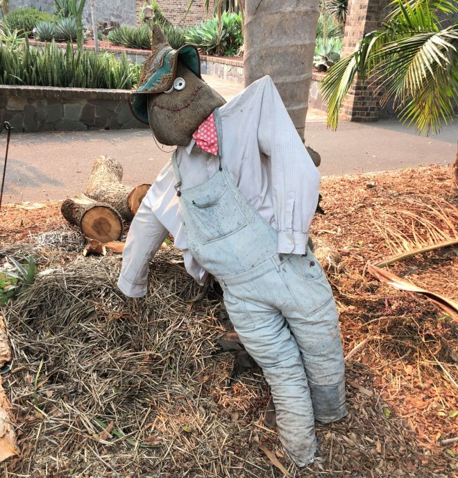 wendy ogrod botaniczny