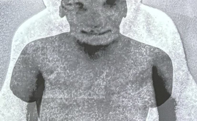 Żmijewski. Studium z&nbsp;natury